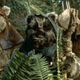 Image for article titled 25 Glorious Years of Loving the Ewoks